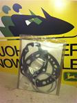 KIMPEX SNOWMOBILE PARTS KIMPEX GASKET KIT JOHN DEERE 440 SNOWMOBILE VINTAGE SLEDS PARTS