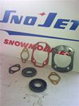 HIRTH GASKET KIT MOTO-SKI RUPP POLARIS ARCTIC CAT BOA SKI  D1 82/1 SNOWMOBILE VINTAGE SLEDS ENGINES PARTS
