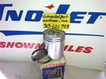 SKI DOO ROTAX 250 PISTON 3304 SNOWMOBILE VINTAGE ASSO SKI DOO 250 CC PISTON 3304