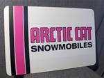 VINTAGE ARCTIC CAT DEALER METAL SIGN VINTAGE SNOWMOBILE ARCTIC CAT METAL DEALER SIGN PUMA EXT PANTHER