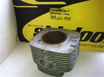 VINTAGE SKI DOO OLYMPIQUE 300 CYLINDER 402-2122 VINTAGE SNOWMOBILE ROTAX 320 CYLINDER 402-2122 SKIDOO TNT