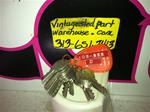 ARCTIC CAT BP SWITCH KEYS  D 109-355 VINTAGE SNOWMOBILE ARCTIC CAT PUNA KEYS C 109-355