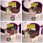 ARCTIC CAT IGNITION COIL 3000-196 PUNA EXT PANTHER  VINTAGE KAWASAKI ENGINE IGNITION COIL 318801-8460-00 EXT PUMA PANTHER SLED