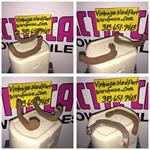 VINTAGE ARCTIC CAT LYNX  WANKEL RECOIL PAWLS 6000-216 PANTHER PUMA  VINTAGE SACHS WANKEL ENGINE RECOIL PAWL 6000-216 KM 24 303 914 295 0250-051 0250-062