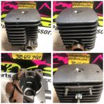 VINTAGE ARCTIC CAT GRASS CAT CYLINDER 6000-589 FISCHTEL SACHS SCHEINFURT LAWN MOWER JUG THIEF RIVER FALLS MN  ARCTO INC ARCTIC ENTERPRISES INC